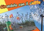 la girandola giocattolo