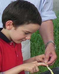 bambino mentre costruisce aquilone