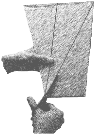 tagliare forme triangoli isosceli