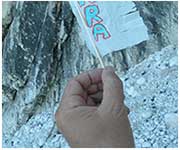 banner in mano